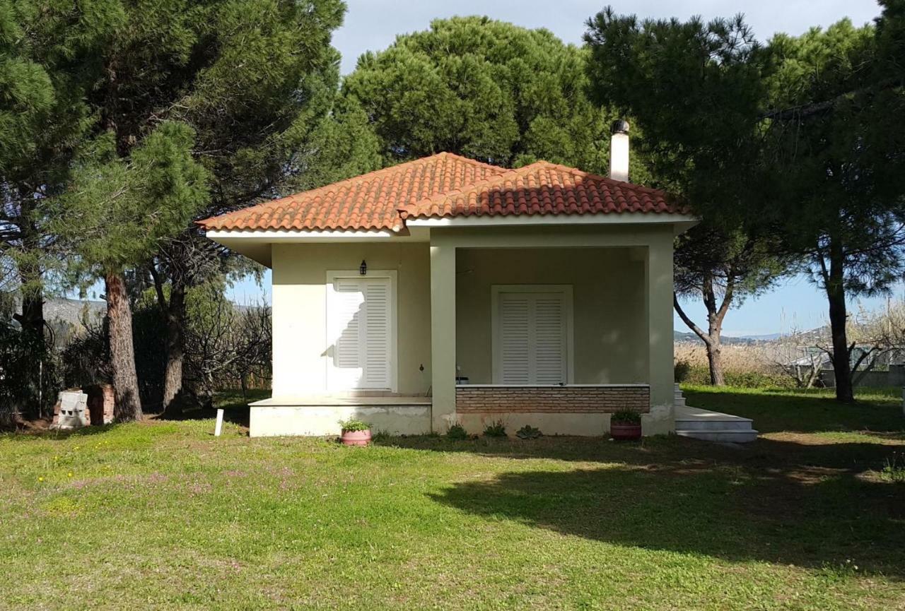 Villa Sunny Day Marathón Exterior foto
